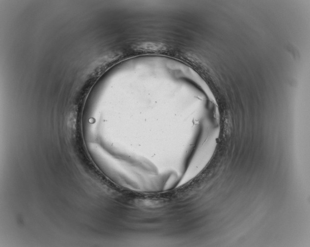 X0000113910739200910151417