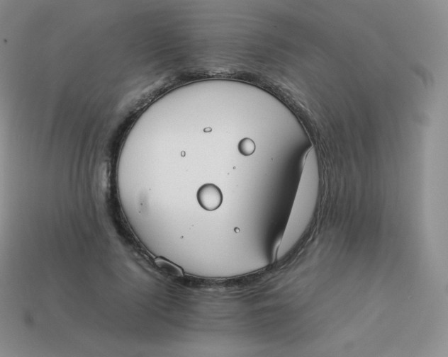 X0000113910740200910151417