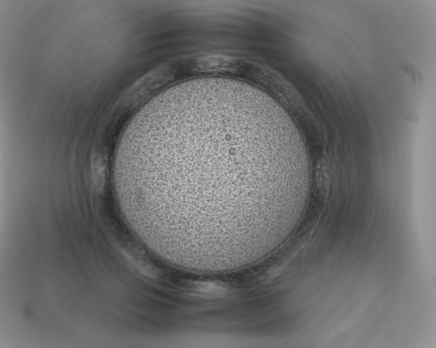 X0000113910741200910151417