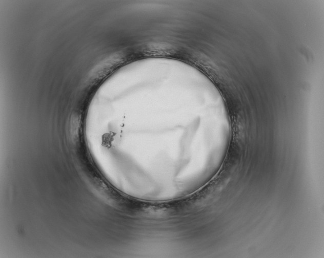 X0000113910742200910151417