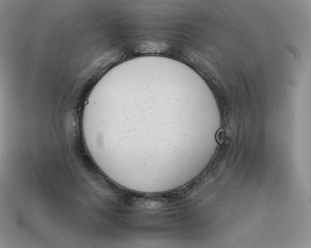 X0000113910743200910151417