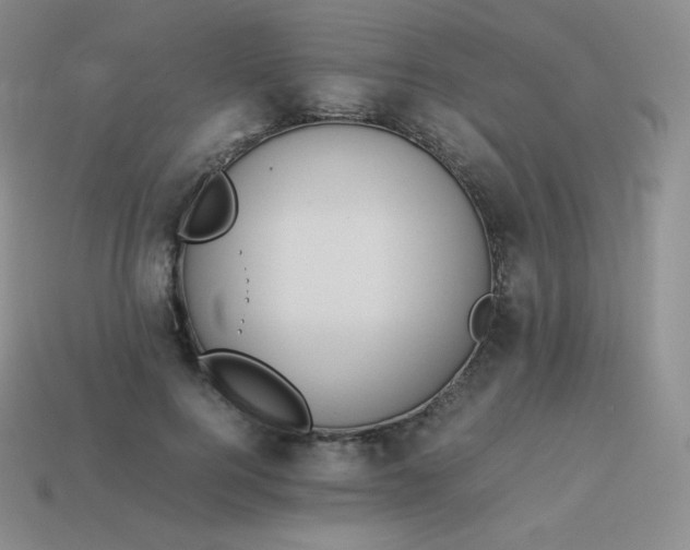 X0000113910744200910151417