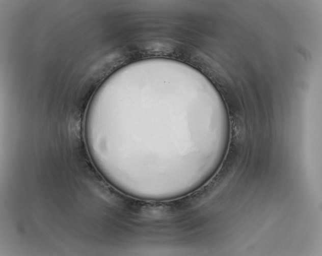 X0000113910745200910151417