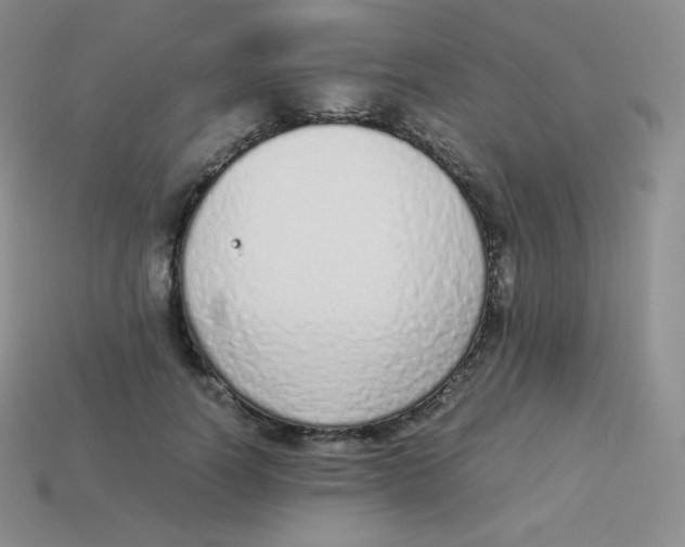 X0000113910746200910151417