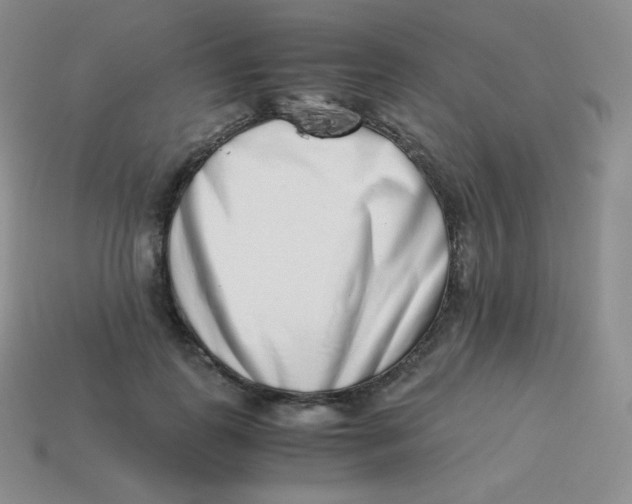 X0000113910747200910151417