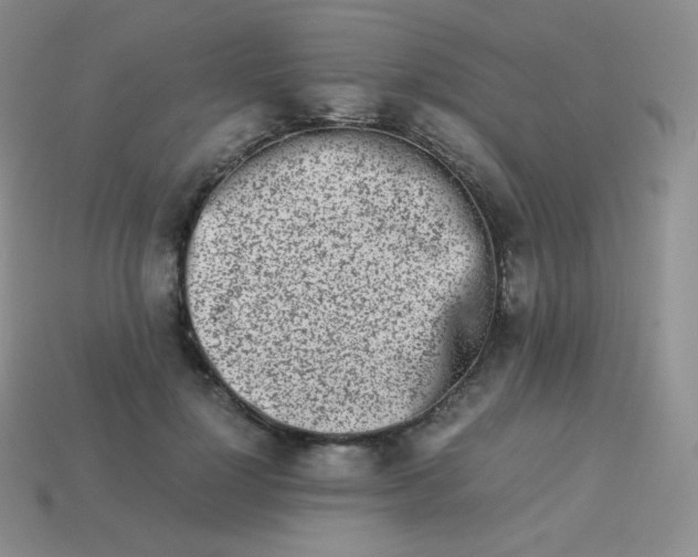 X0000113910748200910151417