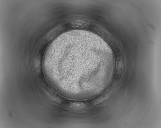 X0000113910749200910151417