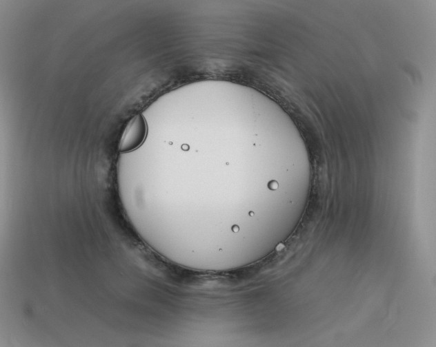 X0000113910750200910151417