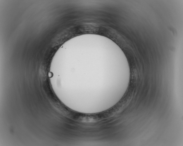 X0000113910751200910151417