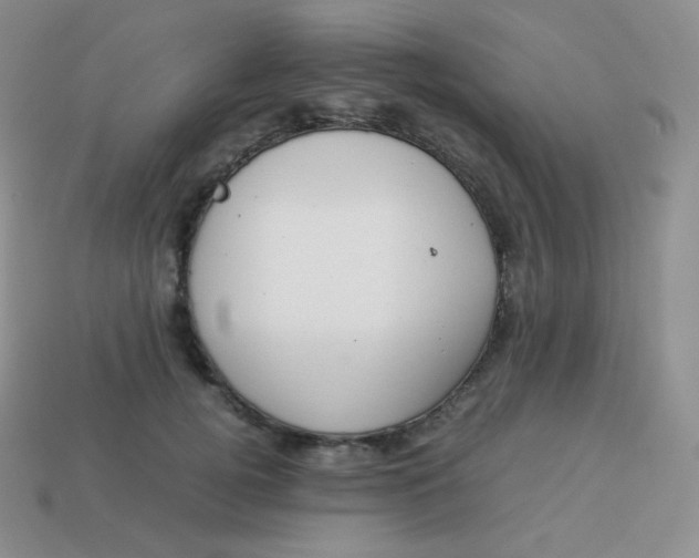 X0000113910752200910151417