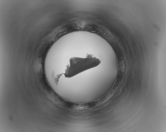 X0000113910754200910151417