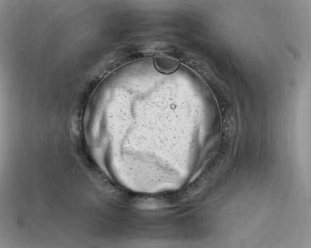 X0000113910755200910151417