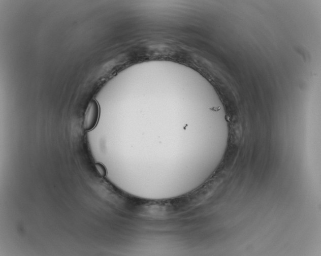 X0000113910756200910151417