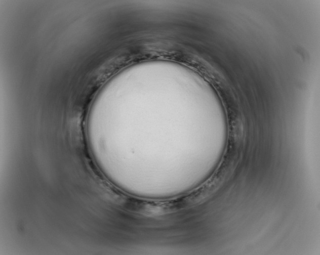 X0000113910757200910151417