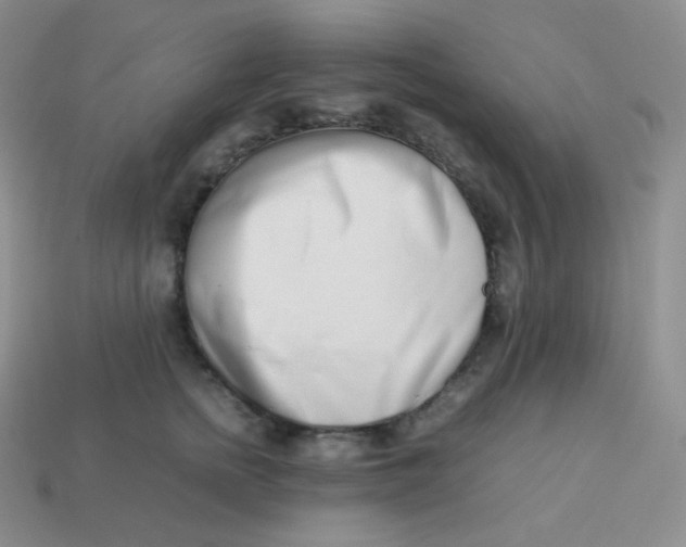 X0000113910758200910151417