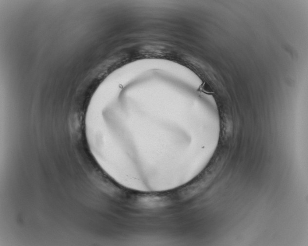 X0000113910759200910151417