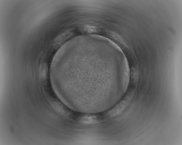 X0000113910760200910151417