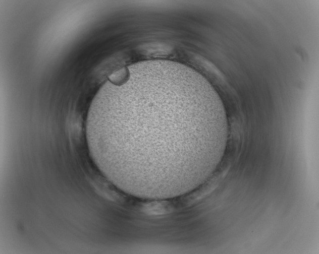 X0000113910761200910151417