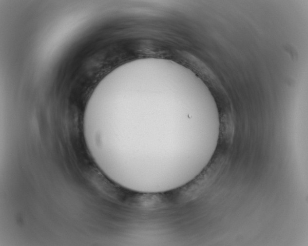 X0000113910762200910151417