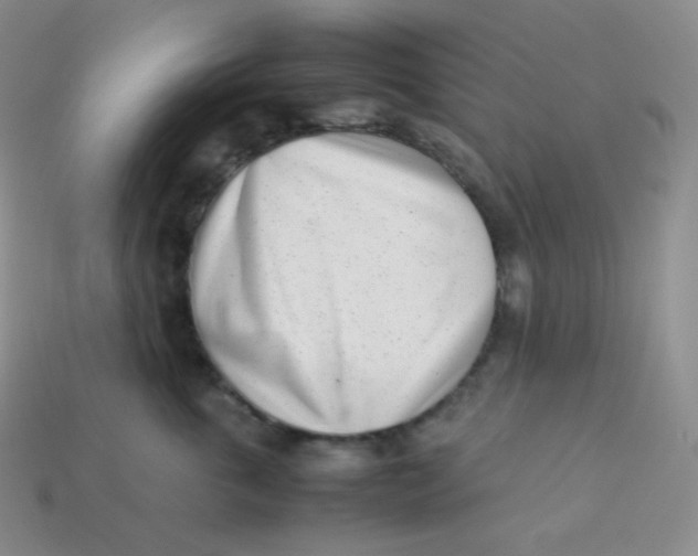 X0000113910763200910151417