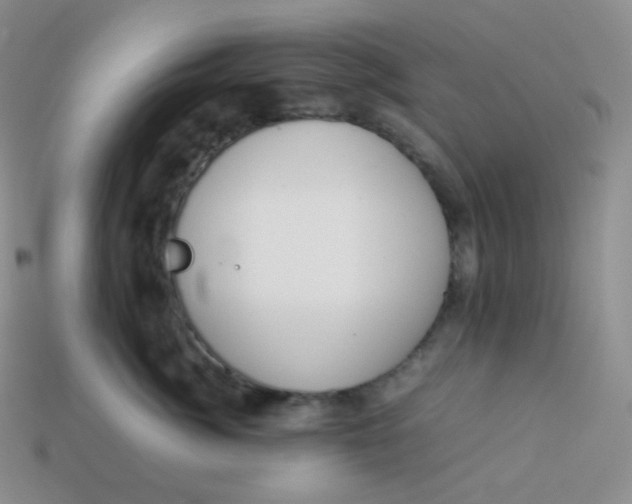 X0000113910764200910151417