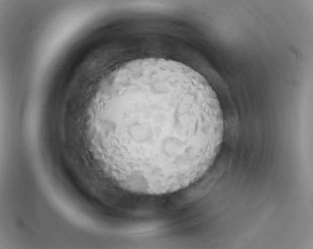 X0000113910765200910151417