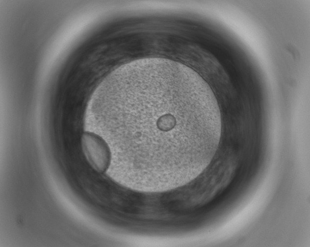 X0000113910766200910151417