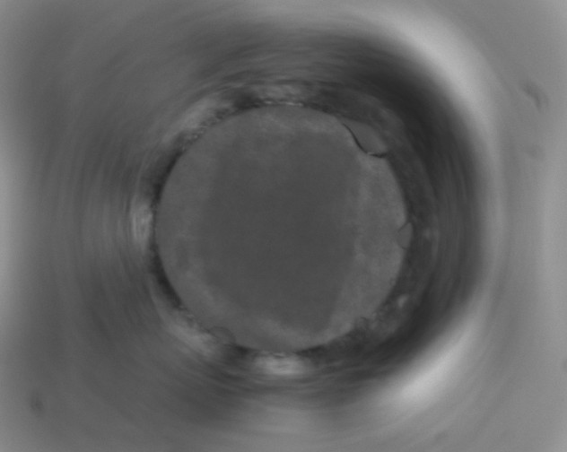 X0000113910767200910151417