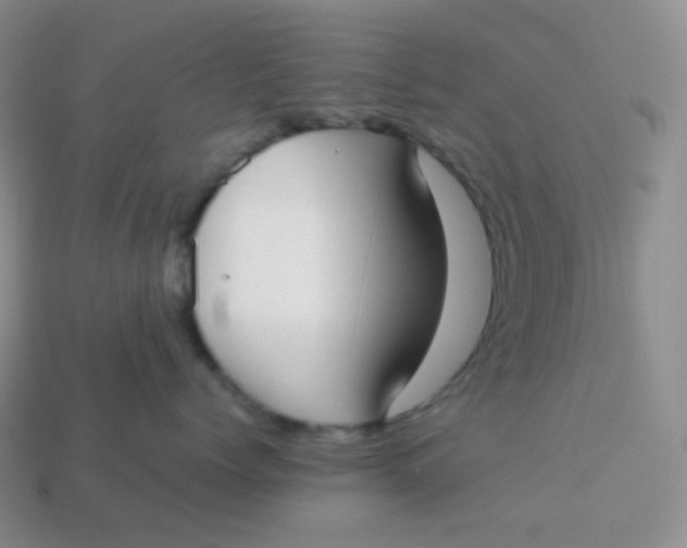 X0000113910768200910151417