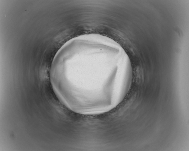 X0000113910770200910151417