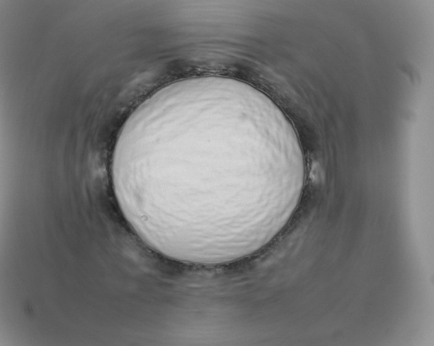 X0000113910771200910151417