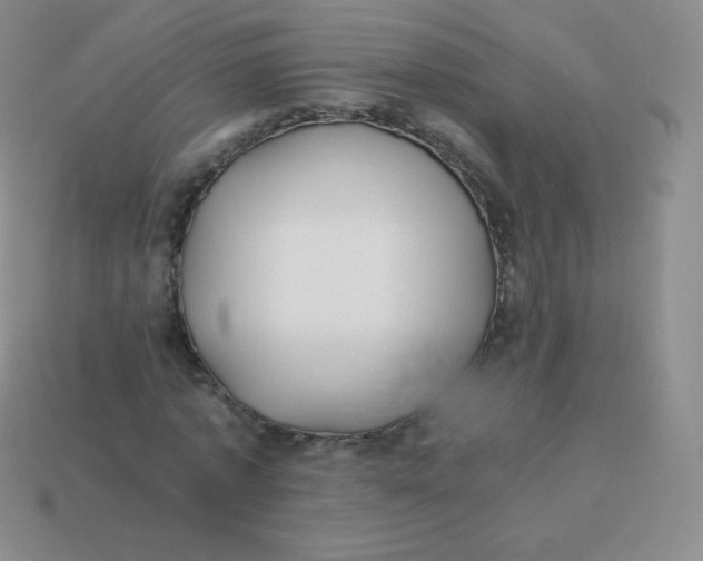 X0000113910773200910151417