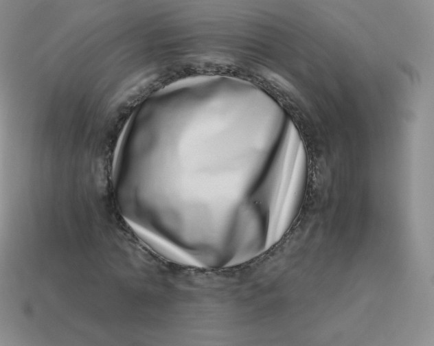 X0000113910774200910151417