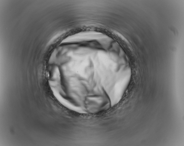 X0000113910775200910151417