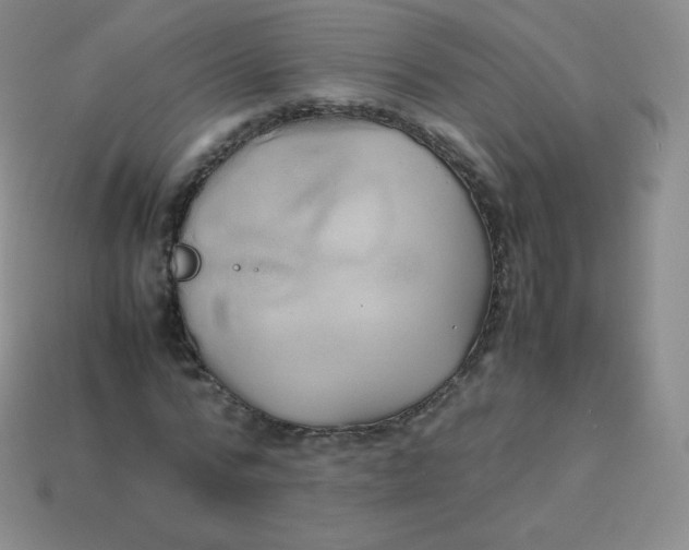 X0000113910776200910151417