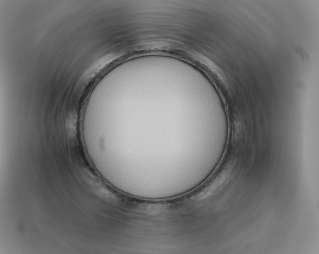 X0000113910778200910151417