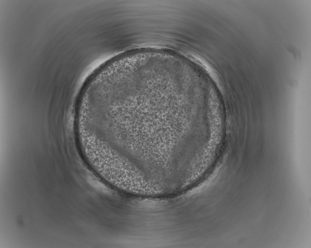 X0000113910779200910151417