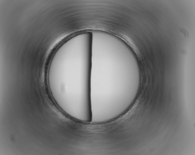 X0000113910780200910151417