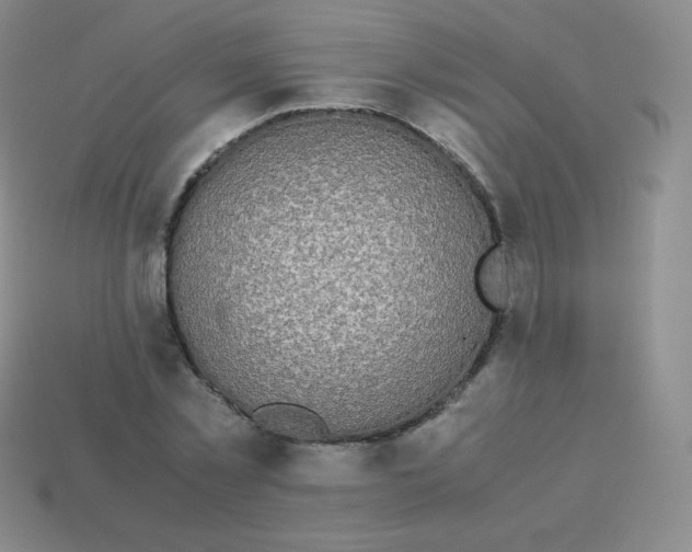 X0000113910781200910151417