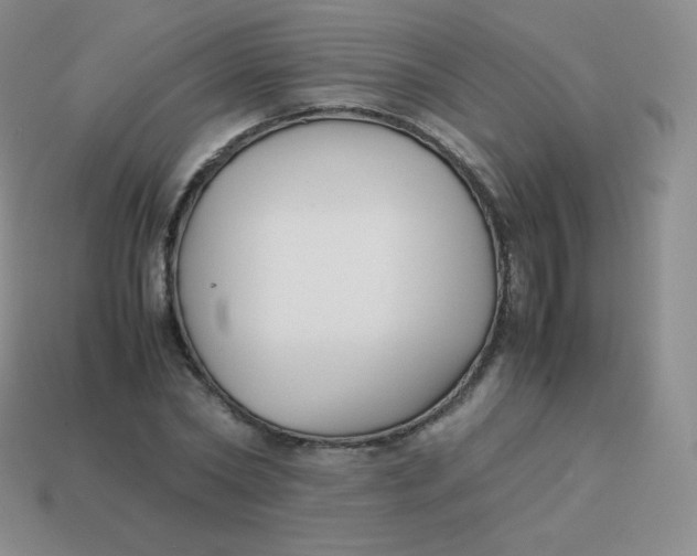 X0000113910782200910151417