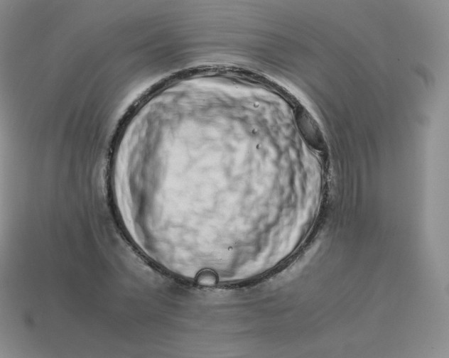 X0000113910783200910151417