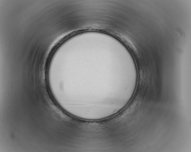 X0000113910784200910151417