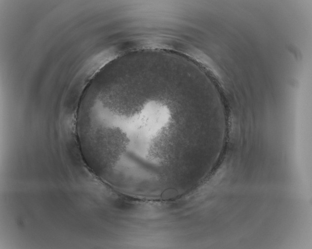 X0000113910785200910151416