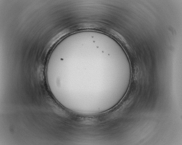 X0000113910786200910151416