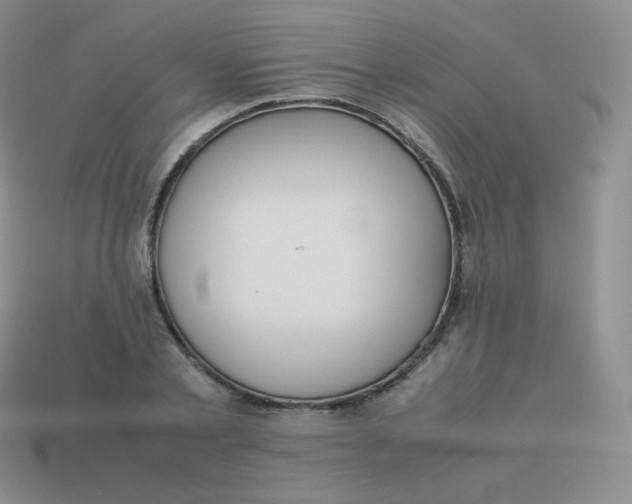 X0000113910789200910151416