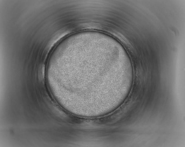 X0000113910790200910151416