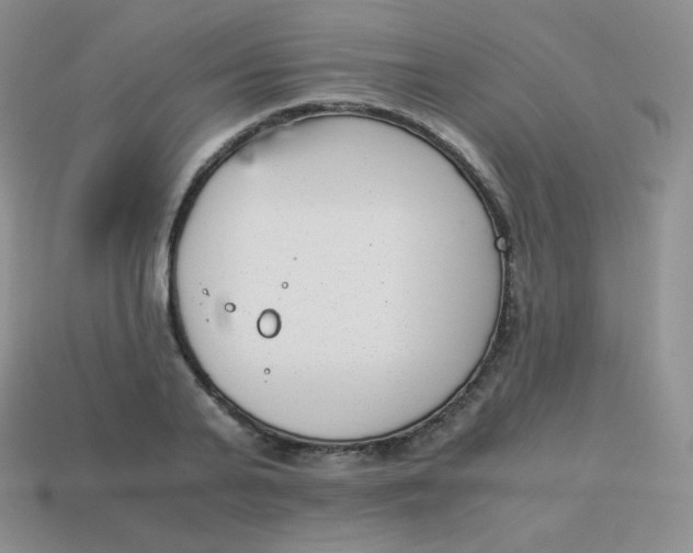 X0000113910791200910151416