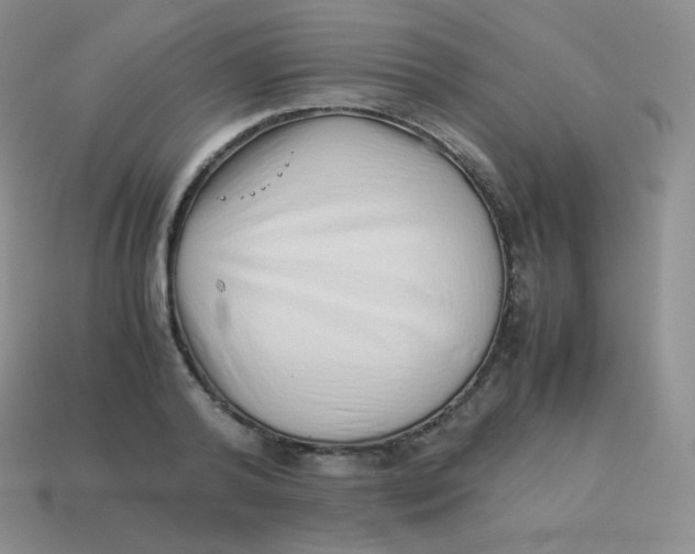 X0000113910792200910151416