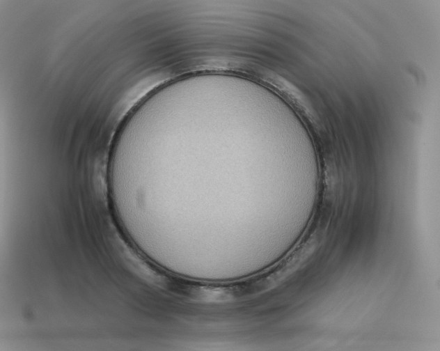 X0000113910794200910151416