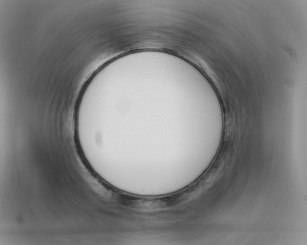 X0000113910795200910151416